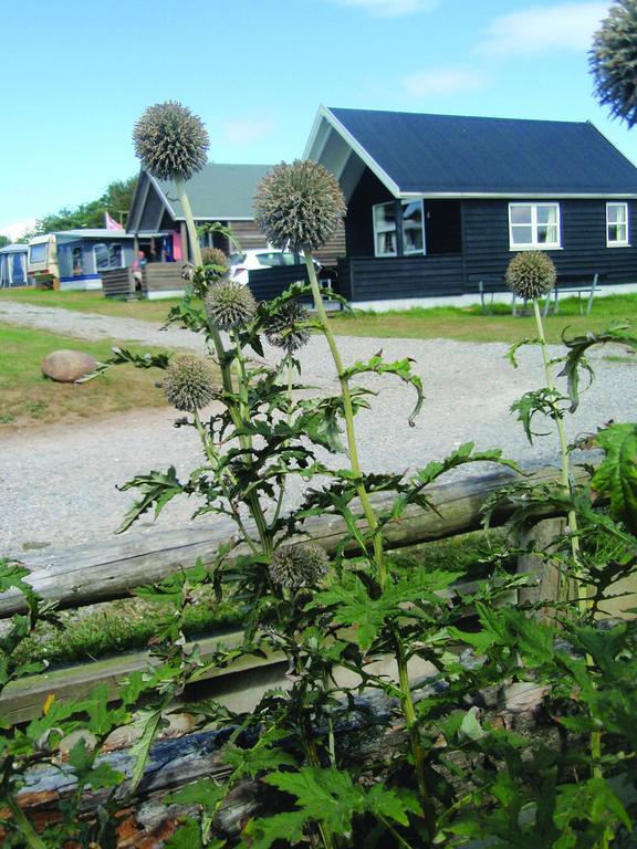 Toftum Bjerge Camping & Cottages Humlum Oda fotoğraf